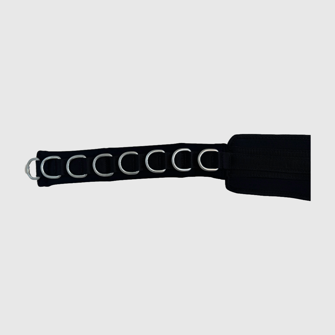 Cloud 9 Belt Squat Belt