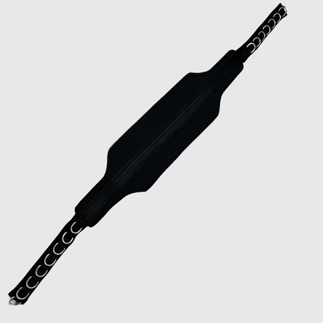 Cloud 9 Belt Squat Belt