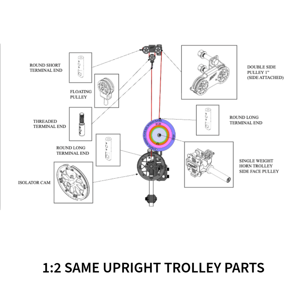 1:2 RATIO SAME UPRIGHT