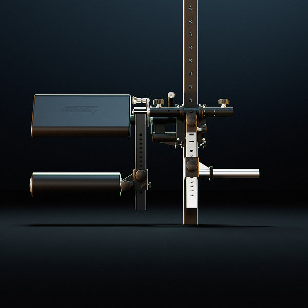 VBS Vertical Belt Squat System