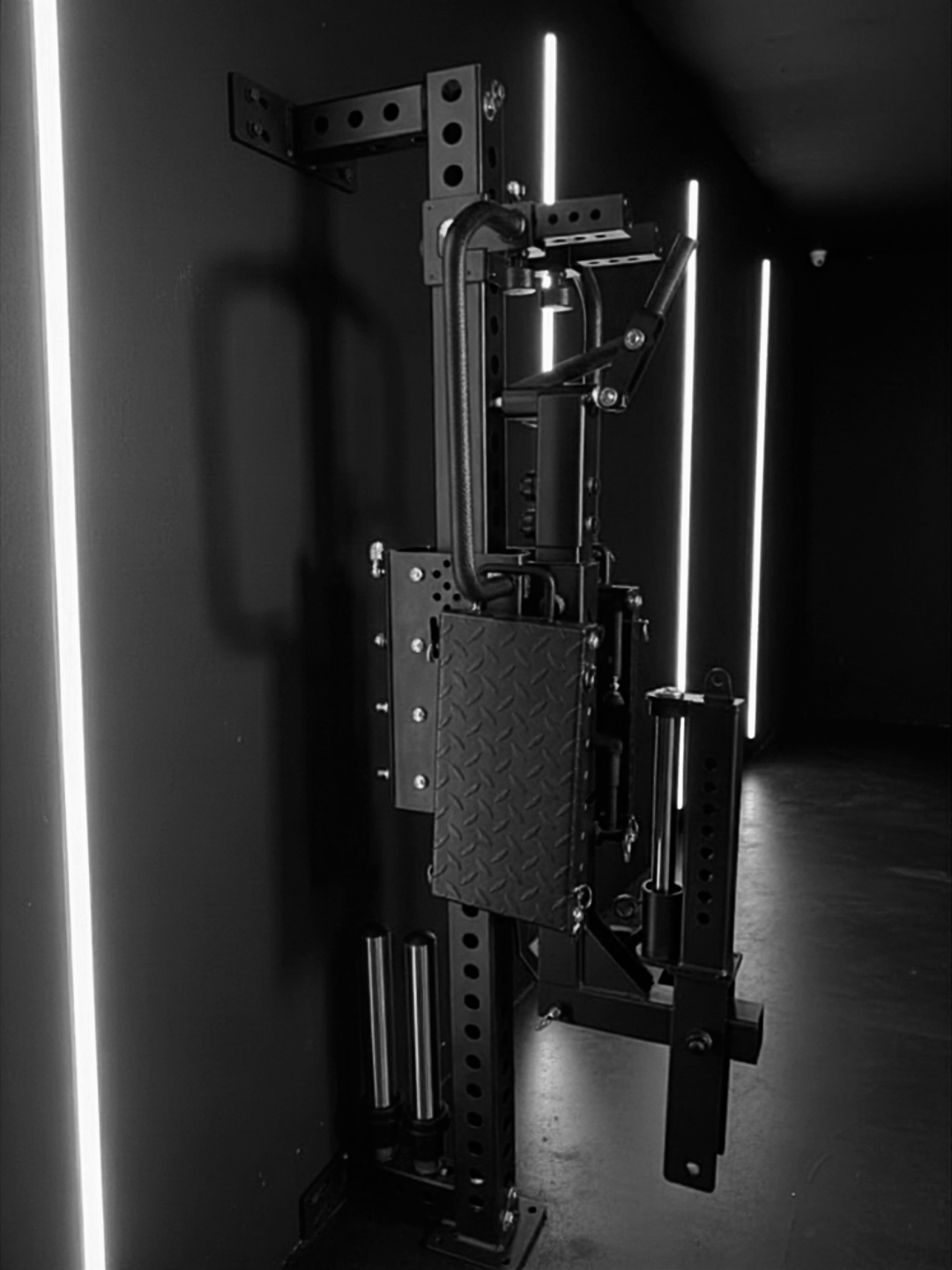 VBS Vertical Belt Squat System