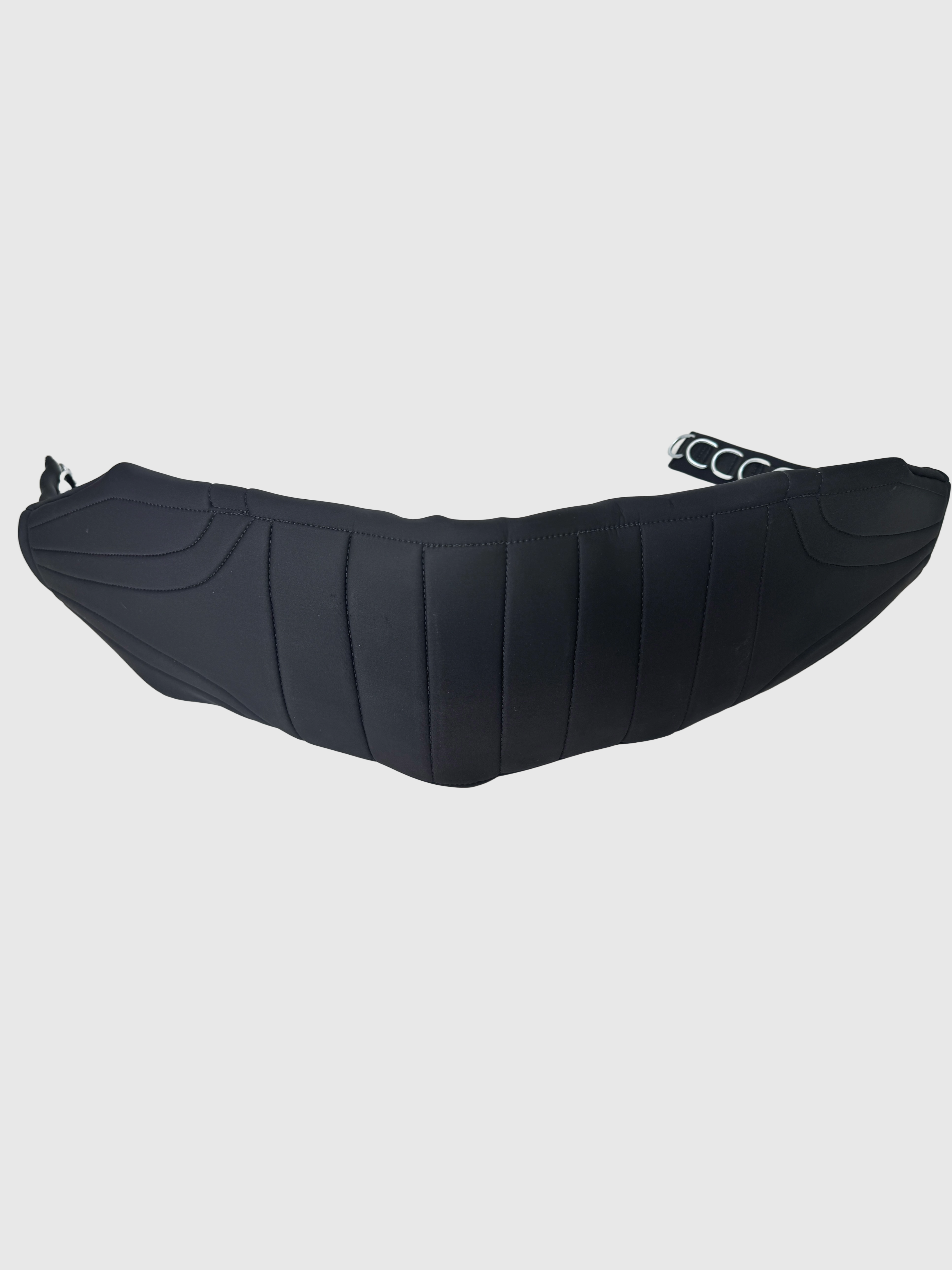 Cloud 9 Belt Squat Belt
